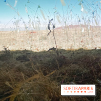 Christian Boltanski, Animitas Chili, 2014