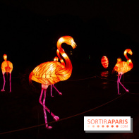 Océan en voie d'illumination : nos photos