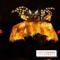 Océan en voie d'illumination : nos photos