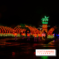 Océan en voie d'illumination : nos photos