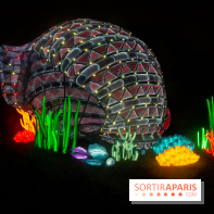 Océan en voie d'illumination : nos photos