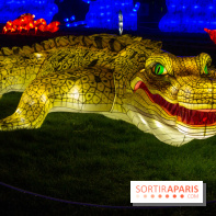 Océan en voie d'illumination : nos photos