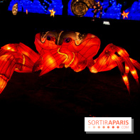 Océan en voie d'illumination : nos photos