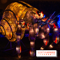 Océan en voie d'illumination : nos photos