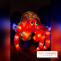 Océan en voie d'illumination : nos photos