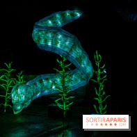 Océan en voie d'illumination : nos photos