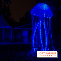 Océan en voie d'illumination : nos photos