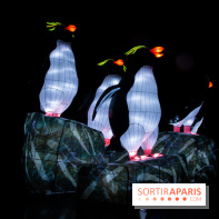 Océan en voie d'illumination : nos photos