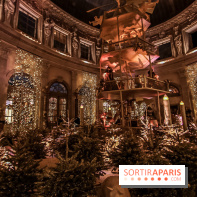 Noël a Vaux le Vicomte 2019