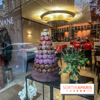 La Café Pavane par Manon Hévin