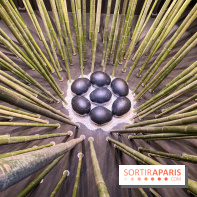Black Bamboo de Nils-Udo à la Fondation EDF