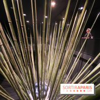 Black Bamboo de Nils-Udo à la Fondation EDF