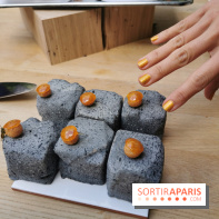 Pavé de Quentin Lechat - Jardin Privé