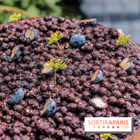 Garden party au T'Time Jardin Privé, les pâtisseries de Quentin Lechat