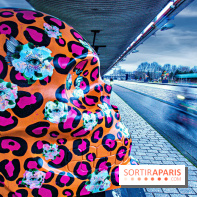 Expo 'Alebrijès & Mexicraneos' à Paris : le Mexique s'invite à La Villette 