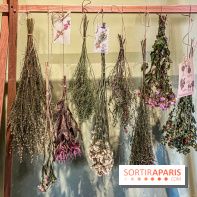 Bergamotte Kinfolk, la nouvelle collection de fleurs séchées naturellement