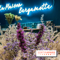 Bergamotte Kinfolk, la nouvelle collection de fleurs séchées naturellement visuel