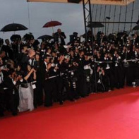 Angelina Jolie
Brad Pitt