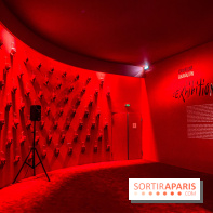 Exposition Christian Louboutin, l’Exhibitionniste au Palais de la Porte Dorée - photos 