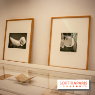 A la recherche des œuvres disparues, l'exposition à l'Institut Giacometti : nos photos