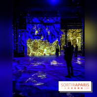 Yves Klein, l’Infini Bleu -  l’album photo