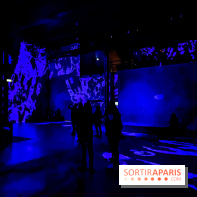 Yves Klein, l’Infini Bleu -  l’album photo