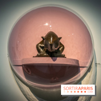 Au pays des monstres, l'exposition fantastique au musée d'Orsay, nos photos