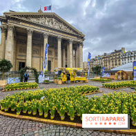 Une Jonquille pour Curie au Panthéon