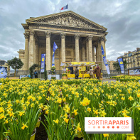 Une Jonquille pour Curie au Panthéon