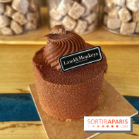 Land&Monkeys - noisette