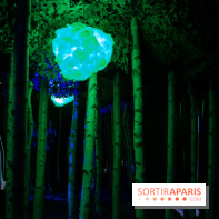 Mad Dimension, le nouveau musée immersif 100 % instagrammable : nos photos