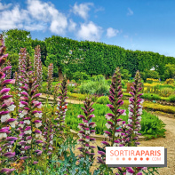Visuel Paris Jardin des Plantes - Muséum MNHN