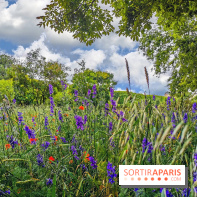 Visuel Paris Jardin des Plantes - Muséum MNHN
