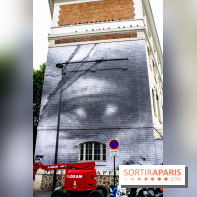 Hommage à Adama Traoré : l'artiste JR dévoile un collage géant à Paris, les photos