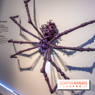 Araignées, Lucioles et Papillons au Musée en Herbe : nos photos