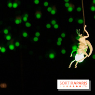 Araignées, Lucioles et Papillons au Musée en Herbe : nos photos