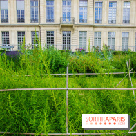 Le jardin des Arts-Albert Schweitzer à Paris, les photos
