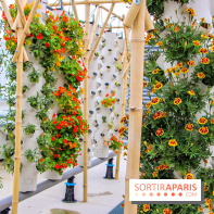 Le Perchoir ferme urbaine Porte de Versailles