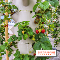 Le Perchoir ferme urbaine Porte de Versailles