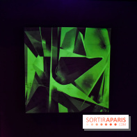 Vision d'ensemble, l'exposition à Fluctuart - nos photos