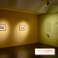 Fuji, pays de neige, l'exposition au musée Guimet - nos photos