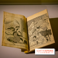 Fuji, pays de neige, l'exposition au musée Guimet - nos photos