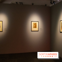 Fuji, pays de neige, l'exposition au musée Guimet - nos photos