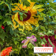 Le ciel de fleurs à Bercy Village