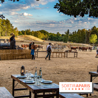 Photos du Dîner Safari du Zoo de Thoiry, table