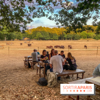 Photos du Dîner Safari du Zoo de Thoiry