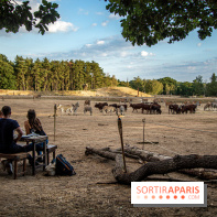 Photos du Dîner Safari du Zoo de Thoiry