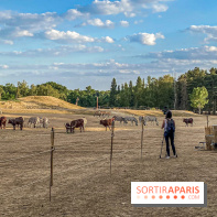 Photos du Dîner Safari du Zoo de Thoiry