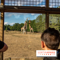 Photos du Dîner Safari du Zoo de Thoiry, Camion