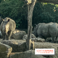 Photos du Dîner Safari du Zoo de Thoiry